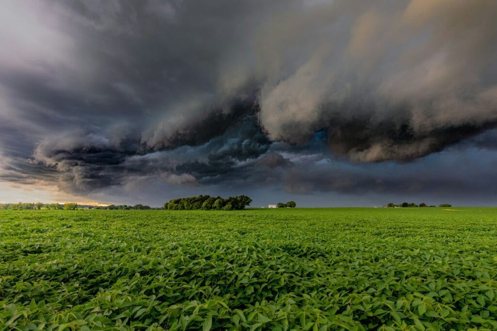 Lavoura verde sob nuvens carregadas de chuva, representando o efeito do El Niño no Sul do Brasil